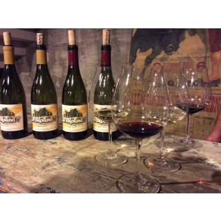 EL MOLINO Rutherford - Pinot Noir 2016 - 0,75 Liter - 92 Points Wine Spectator
