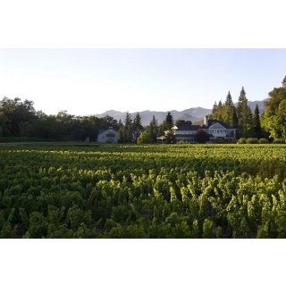 DUCKHORN Napa Valley Sauvignon Blanc 2019 - 0,75 Liter- 90 Points Jame Suckling