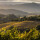 SHAFER Hillside Select Cabernet Sauvignon 2015 - 0,75 Liter - 98 Points -Robert Parker`s Wine Avocate