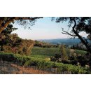 DUCKHORN Decoy California - Zinfandel 2019 - 0,75 Liter- 90 Ponts Wine Enthusiast