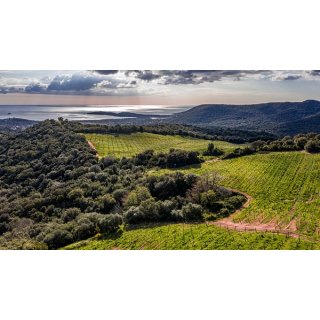 DOMAINE DE TORRACCIA - Korsika - Rosé 2020 - 1,5 Liter - Prädikat AOP- Biozertifiziert 