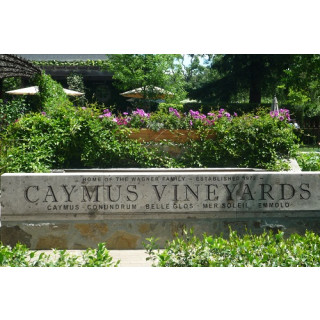 CAYMUS Conundrum White Wine 2020 - 0,75 Liter - 