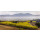CAYMUS Special Selection 2017 Napa Valley 0,75 Liter - 94 Points Wine Spectator/ 93 Points Wilfred Wong of Wine.com