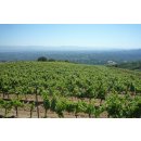 MOUNT EDEN Estate Cabernet Sauvignon 2017 - 0,75l Liter - 92 Punkte Wine Enthusiast/93 Points Wine Sectator/97 pts Antonio Galloni