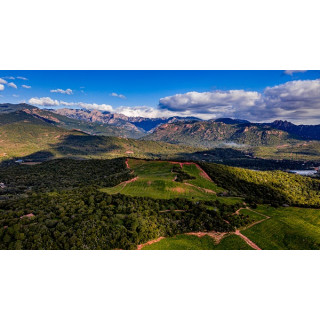 DOMAINE DE TORRACCIA - Korsika - Oriu Rosé 2020 - 0,75 Liter -Prädikat AOP- Biozertifiziert 