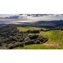 DOMAINE DE TORRACCIA - Korsika - Oriu Rosé 2020 - 0,75 Liter - Prädikat AOP- Biozertifiziert 