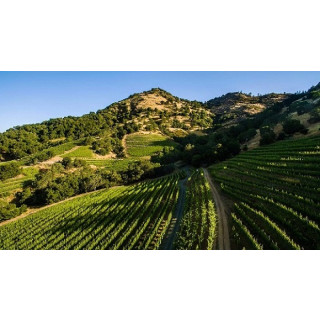 SHAFER Hillside Select Cabernet Sauvignon 2017 - 0,75 Liter - 98+ Points Rober Parker`s Wine Advocate- 98 Jame Suckling