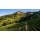 SHAFER Hillside Select Cabernet Sauvignon 2017 - 1,5 Liter - 98+ Points Rober Parker`s Wine Advocate- 98 Jame Suckling