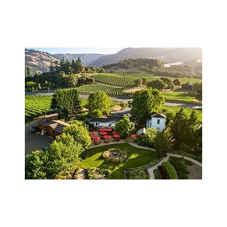 DUCKHORN Napa Valley Cabernet Sauvignon 2019 - 0,375 Liter - 92 Points Wilfred Wong of Wine.com