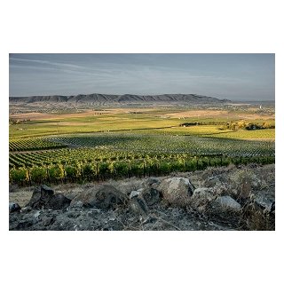 DUCKHORN Washington State CANVASBACK -Cabernet Sauvignon 2018 - 0,75 Liter - 91 Points R. Parker`s Wine Advo./90Wine Enthusiast