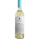DAOU Vineyards - Discovery Sauvignon Blanc 2020  - 0,75 Liter - 90 Points Wine Enthusiast