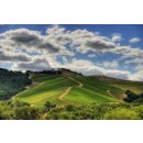 DAOU Vineyards - RESERVE - Chardonnay 2020  - 0,75 Liter...