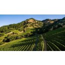 SHAFER Hillside Select Cabernet Sauvignon 2016 -1,5 Liter...