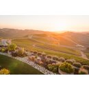 DAOU Vineyards - PATRIMONY Black Label Cabernet Sauvignon 2018 - 0,75l - 95-97 R. Parker/ 97-99 Jeb Dunnuck/99 The Tasting Panel