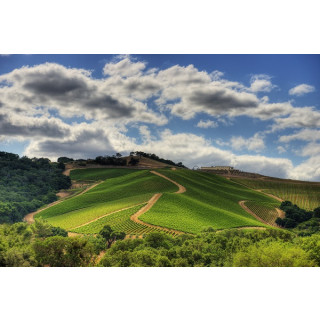 DAOU Vineyards - RESERVE  Cabernet Sauvignon 2020 - 0,75 Liter - 93 Points Robert Parker`s Wine Advocate