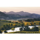 QUINTESSA Rutherford- Organisch/Ökologisch/Bio - Zertifizierung - Cabernet Sauvignon 2019 - 0,75l- 99 Points James Suckling/100 Wine Enthusiast