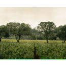 JOSEPH PHELPS Napa Valley INSIGNIA Cabernet Sauvignon...