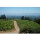 DOMAINE EDEN -Mount Eden Viney.- Cabernet Sauvignon 2018 - 0,75l- 94 Points Wine Enthusiast/94Vinous/91 Wine Spectator