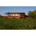 EOS Estate - Paso Robles California - 2020 Sauvignon Blanc - 0,75l -