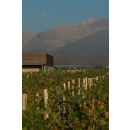 ALEXANA TERROIR SERIES Oregon Willamette Valley...