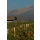 ALEXANA TERROIR SERIES Oregon Willamette Valley  Chardonnay 2020  0,75 Liter