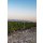 ALEXANA TERROIR SERIES- Oregon Willamette Valley - Chardonnay 2020 - 0,75 Liter - 