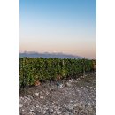 ALEXANA TERROIR SERIES- Oregon Willamette Valley - Pinot Noir 2021 - 0,75 Liter - 93 Points Wine Spectator