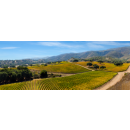 BELLE GLOS Santa Lucia Higl.- Las Alturas Pinot Noir 2021...