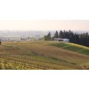 ELOUAN -OREGON- Pinot Noir 2020 - 0,75 Liter - 91 Points...