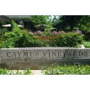 CAYMUS Napa Valley - Cabernet Sauvignon 2021 - 0,75 Liter - 