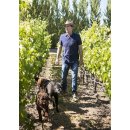 TREANA Paso Robles - Red Wine Cuvée 2020 - 0,75...