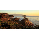 HAHN Central Coast  Cabernet Sauvignon 2021 - 0,75 Liter-