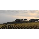 HAHN Central Coast  Cabernet Sauvignon 2021 - 0,75 Liter-