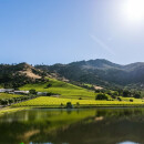 SHAFER Hillside Select Cabernet Sauvignon 2019 - 0,75 Liter - 98 J. Dunnuck/ 98 J.Suckling/ 98 R.Parker