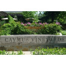 CAYMUS Cabernet Sauvignon 2021 - 0,375 Liter-