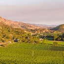 DUCKHORN Napa Valley Merlot  2021  0,75 Liter - 92 Points Wine Enthusiast/ 91 Wine Spectator