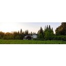 DUCKHORN Napa Valley Cabernet Sauvignon 2021 - 3,0 Liter - 93 Decanter/92 Wine Enthusiast