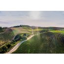 DAOU Vineyards - SOUL OF A LION 2020 Cabernet Sauvignon -...