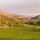 DUCKHORN Decoy California - Cabernet Sauvignon 2020 - 3 Liter - 89 Points Wilfre Wong Wine.com