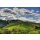 DAOU Vineyards - PATRIMONY - CAVES DES LIONS 2020 - 0,75l - 97 Points Wine Enthusiast/95 R.Parker/95 Decanter
