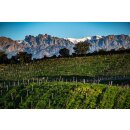 DOMAINE DE TORRACCIA - Korsika - Rosé - 2024 - 0,75 Liter - Prädikat AOP - Biozertifiziert