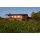 EOS Estate - Paso Robles 2022 Sauvignon Blanc  0,75l