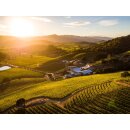 SHAFER Red Shoulder Ranch Chardonnay 2024 - 0,75 Liter -  94 Vinos, 95 W. Wong, 95 J. Suckling
