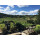 DIAMOND CREEK Napa Valley Volcanic Hill  2022 - 0,75 Liter -