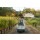 DIAMOND CREEK Napa Valley Volcanic Hill  2022 - 0,75 Liter -