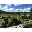 DIAMOND CREEK Napa Valley Gravelly Meadow 2022 - 0,75 Liter - 94 R. Parker`s Wine Advoate