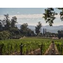 INGLENOOK Rutherford Napa Valley Cabernet Sauvignon 2021 - 0,75l - 96 J. Suckling 95 R. Parker Wine Advocate