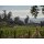 INGLENOOK Rutherford Napa Valley Cabernet Sauvignon 2021 - 0,75l - 96 J. Suckling 95 R. Parker Wine Advocate
