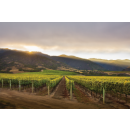 MER SOLEIL Santa Lucia Highl. Reserve Chardonnay 2023 - 0,75 Liter -