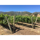 MER SOLEIL Santa Lucia Highl. Reserve Chardonnay 2023 - 0,75 Liter -